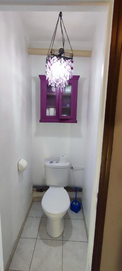 Hypercentre Grand Appartement Lumineux 3 Chambres Parking アジャン エクステリア 写真
