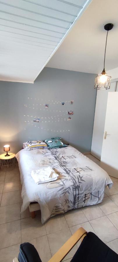 Hypercentre Grand Appartement Lumineux 3 Chambres Parking アジャン エクステリア 写真
