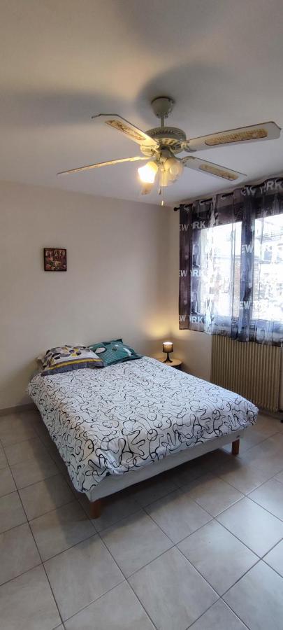 Hypercentre Grand Appartement Lumineux 3 Chambres Parking アジャン エクステリア 写真